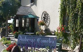 Hotel Auberge Camelia